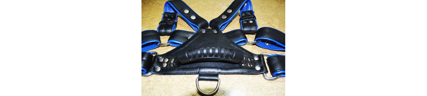 Harnesses