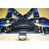 Harnesses