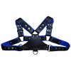 Chest Handler Harness 