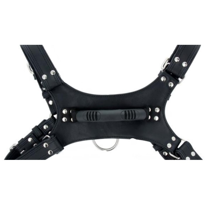 Chest Handler Harness 