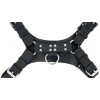 Chest Handler Harness 