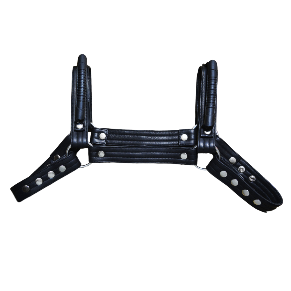 Leather Chest Handler Harness